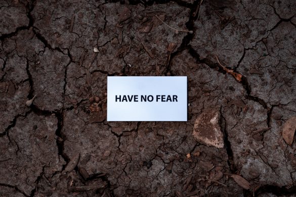 kamienie kartka z napisem "have no fear"